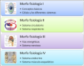 /album/temario1/morfo-png/